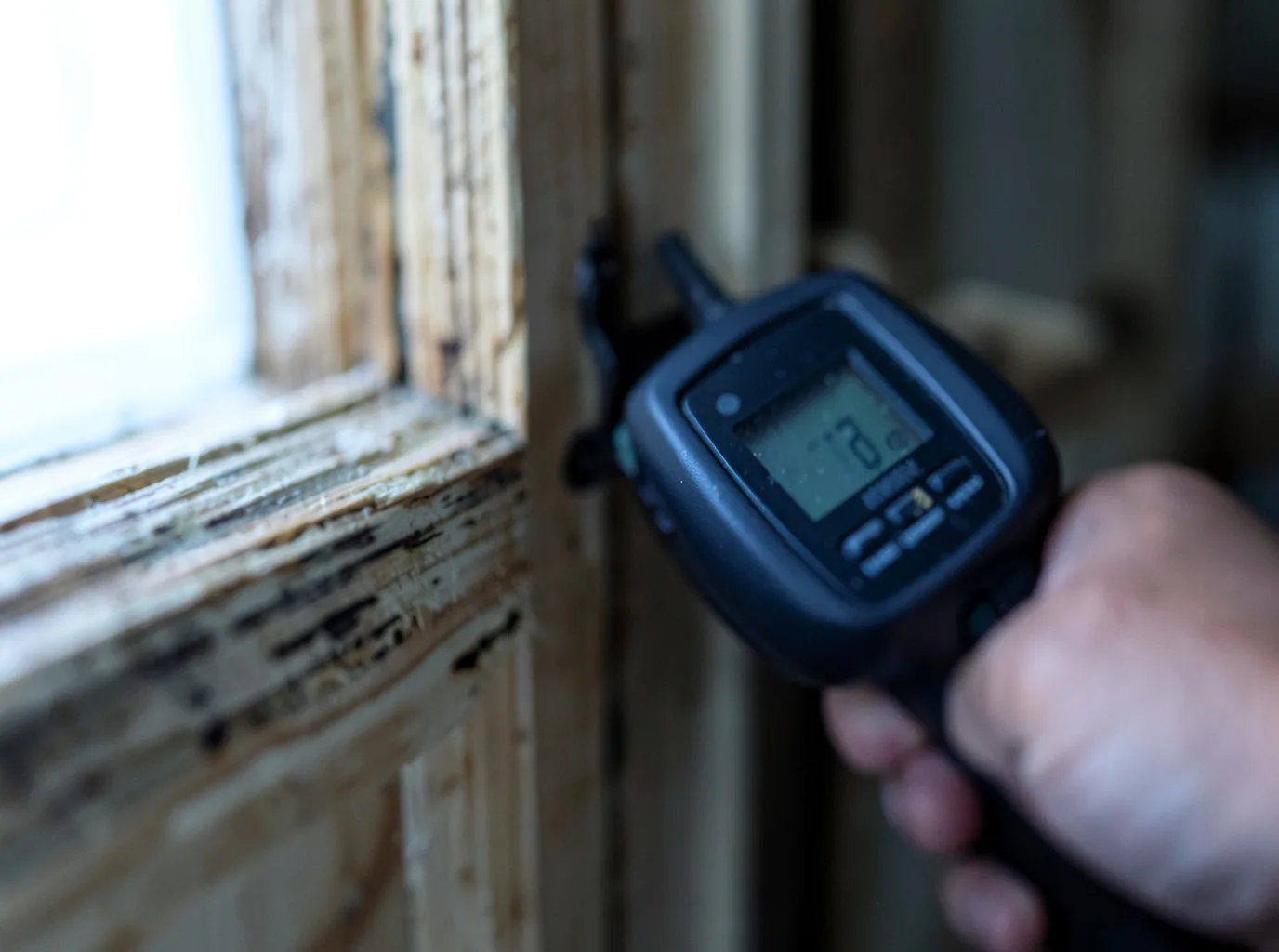 Moisture Inspection And Documentation in Holly Hill, SC